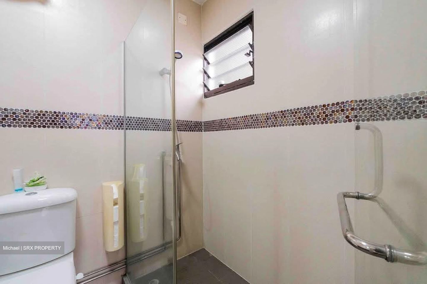 Blk 468 Segar Gardens (Bukit Panjang), HDB Executive #604397591